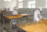 精選肉松批發(fā) 黃金松、原味、辣味、雞肉松一站式供應(yīng)，量大優(yōu)惠包郵